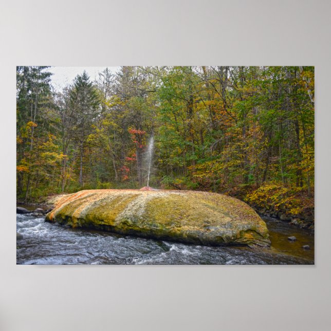 Geyser Island Spouter, Saratoga Vår, New York Poster (Framsidan)