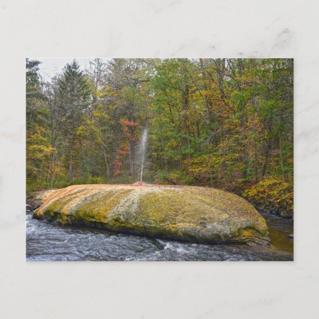 Geyser Island Spouter, Saratoga Vår, New York Vykort (Framsida)