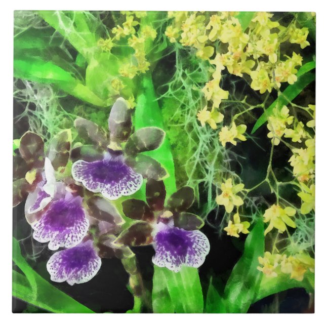 Geyser Jamie och guld- fantasiOrchids Kakelplatta (Framsidan)