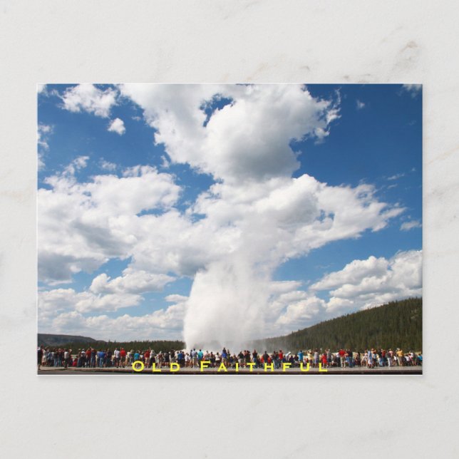 Geyser-vykort: Yellowstone Nat'l Vykort (Framsida)