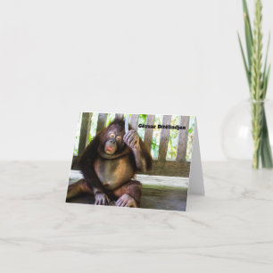 Gëzuar Ditëlindjen, albansk födelsedag Kort