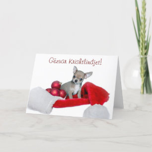 Gëzuar Krishtlindjet jul Chihuahua hund Helgkort