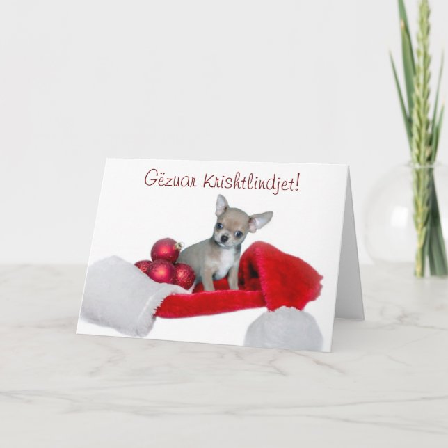 Gëzuar Krishtlindjet jul Chihuahua hund Helgkort (Framsida)