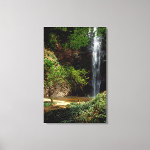 Ghana: Wli Falls, a.k.a. Agumatsa Falls (Volta Canvastryck
