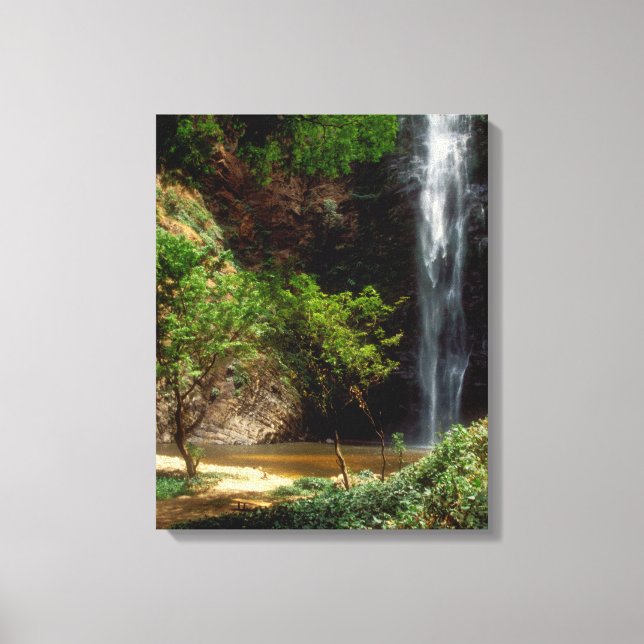 Ghana: Wli Falls, a.k.a. Agumatsa Falls (Volta Canvastryck (Framsida)