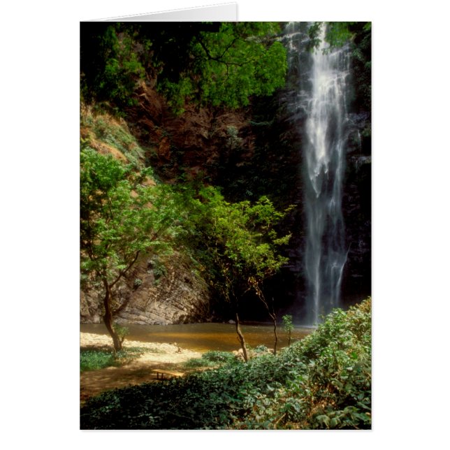 Ghana: Wli Falls, a.k.a. Agumatsa Falls (Volta Hälsningskort (Framsidan)