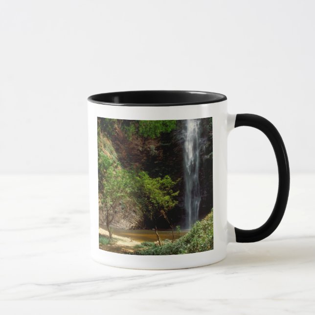Ghana: Wli Falls, a.k.a. Agumatsa Falls (Volta Mugg (Höger)