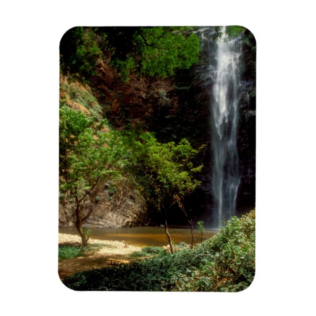 Ghana: Wli Falls, alias Agumatsa Falls (Volta) Magnet (Vertikal)
