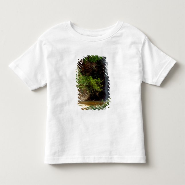 Ghana: Wli Falls, alias. Agumatsa Falls (Volta) T-shirt (Framsida)