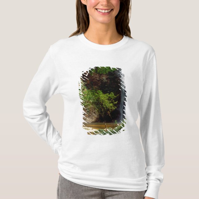 Ghana: Wli Falls, även kallad Agumatsa Falls (Volt T-shirt (Framsida)