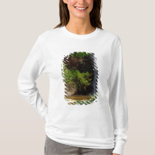 Ghana: Wli Falls, även kallad Agumatsa Falls (Volt Tee