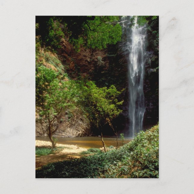 Ghana: Wli Falls, även kallad Agumatsa Falls (Volt Vykort (Framsida)