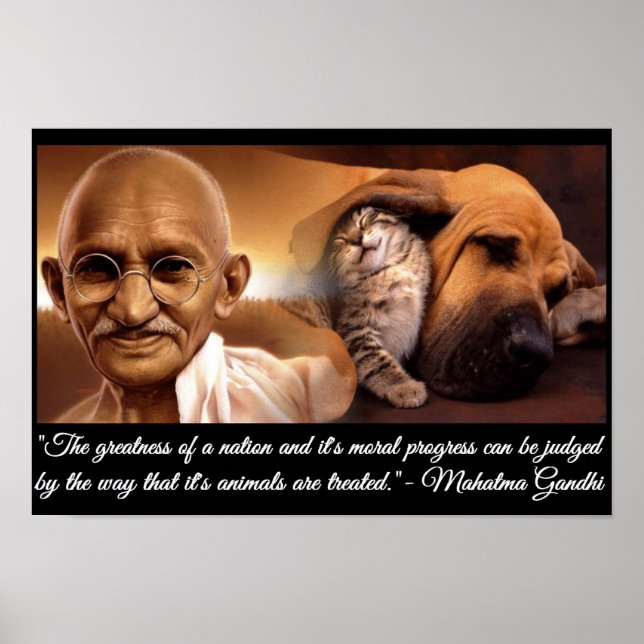 Ghandi Animal Quote Poster (Framsidan)