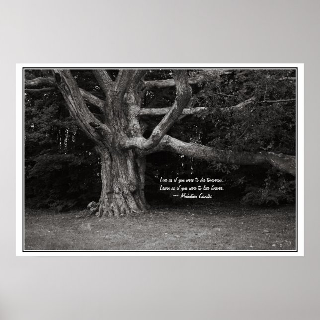 Ghandi Quote Poster, Perley Oak Monochrome Poster (Framsidan)