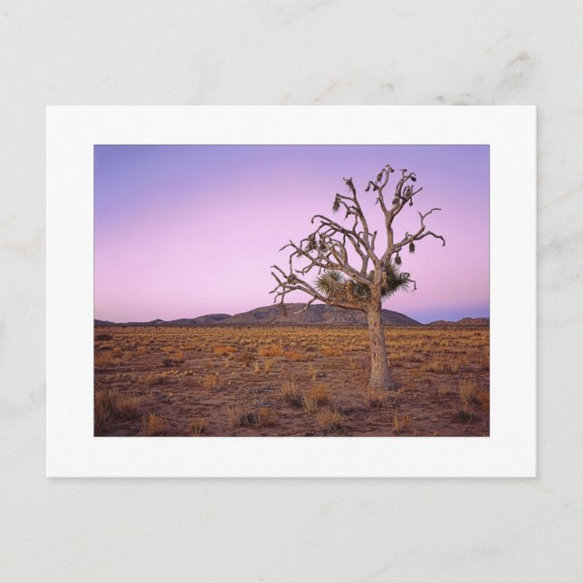 " Ghodyst Shape Shifter " Vykort (Framsida)