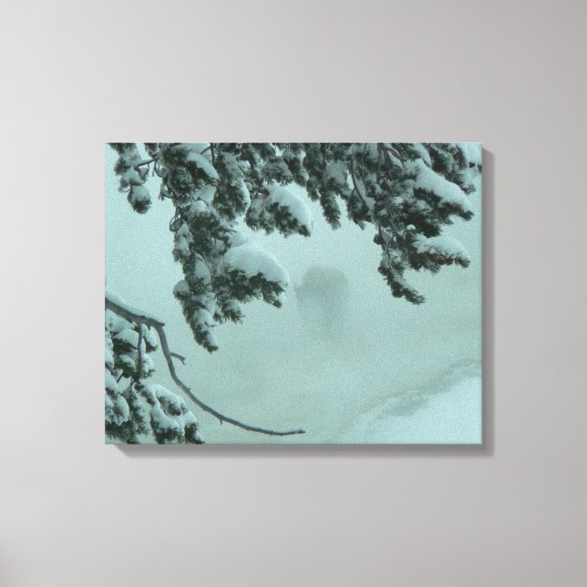 Ghost Buffalo Canvastryck (Framsida)