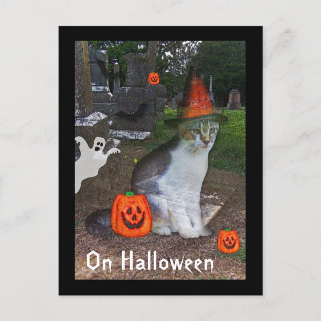 Ghost Cat Vykort (Framsida)