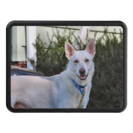 Ghost Dragkroksskydd