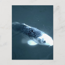 ’Ghost’ Fish Vykort