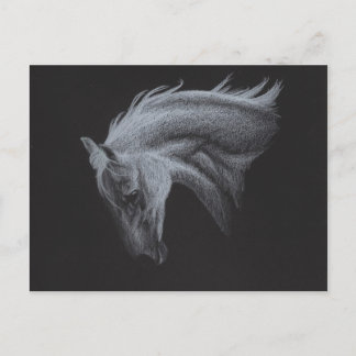 Ghost Horse Collection Vykort