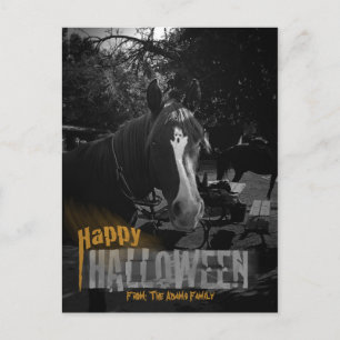 Ghost Horse Halloween Vykort