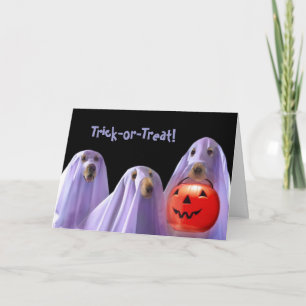 Ghost Hundar Halloween-kort för påfyllning eller b Kort