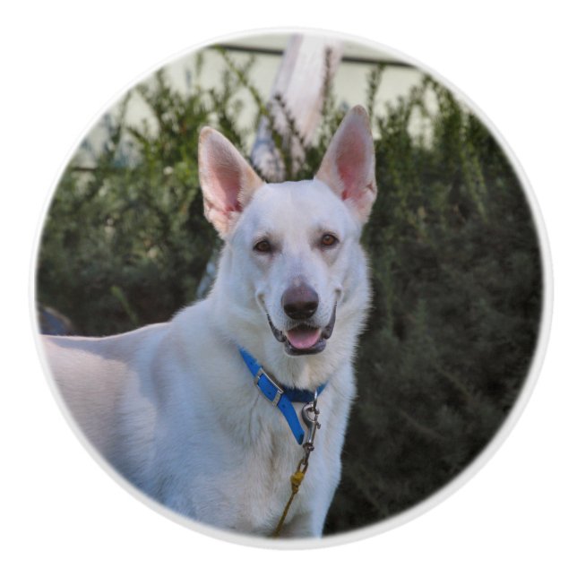 Ghost Knopp (Framsidan)