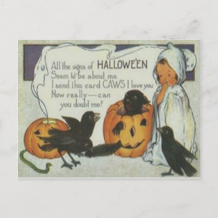 Ghost Kråka Jack o lantern Pumpkin Black Cat Vykort