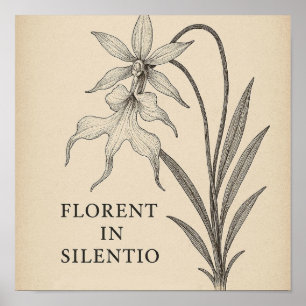 Ghost Orchid Elegance - Botanical Quote Poster