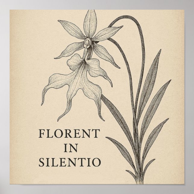Ghost Orchid Elegance - Botanical Quote Poster (Framsidan)