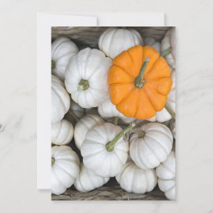 Ghost Pumpkins med en smygande orange en Inbjudningar