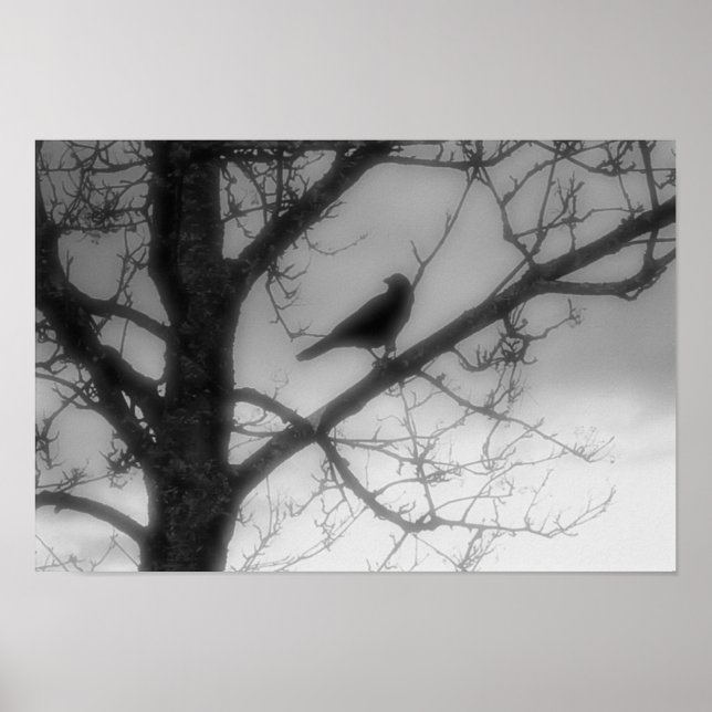 Ghost Raven Poster (Framsidan)