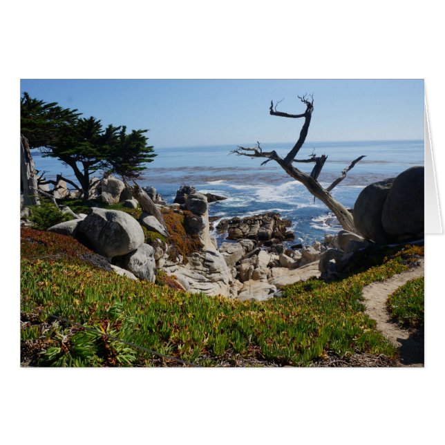 Ghost Träd - Scenia 17 Mile Drive #2-kort Hälsningskort (Framsidan Horizontal)
