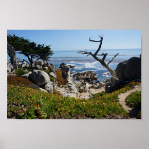 Ghost Träd - Scenia 17 Mile Drive #2 Poster