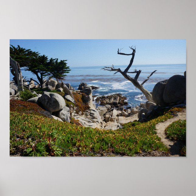 Ghost Träd - Scenia 17 Mile Drive #2 Poster (Framsidan)