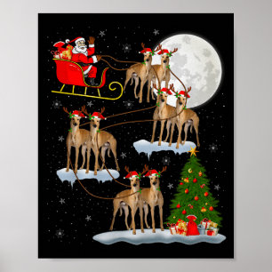 Ghound Dog Tomte Släd Flygande Rolig Magisk Jul Poster