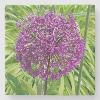 Giant Allium Flower Underlägg Sten