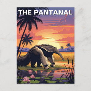 Giant Anteater i Pantanal Vykort