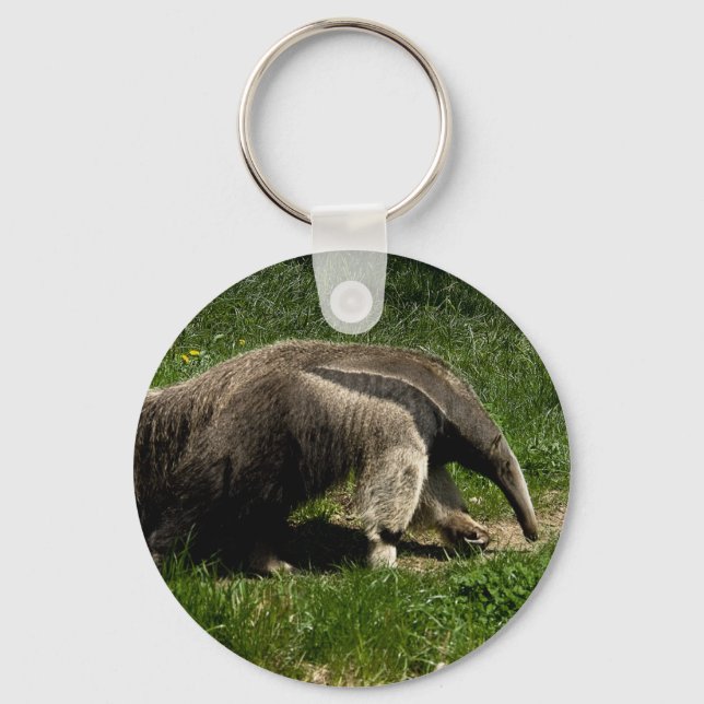 Giant Anteater Nyckelring (Framsida)