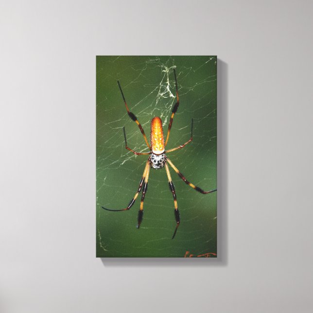 Giant Banana Spider canvas (Framsida)