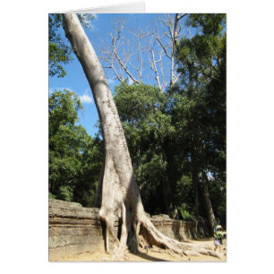Giant Banyan Träd ... Ta Prohm Temple, Kambodja Hälsningskort