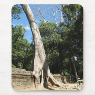 Giant Banyan Träd ... Ta Prohm Temple, Kambodja Musmatta
