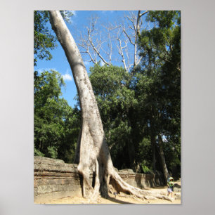 Giant Banyan Träd ... Ta Prohm Temple, Kambodja Poster