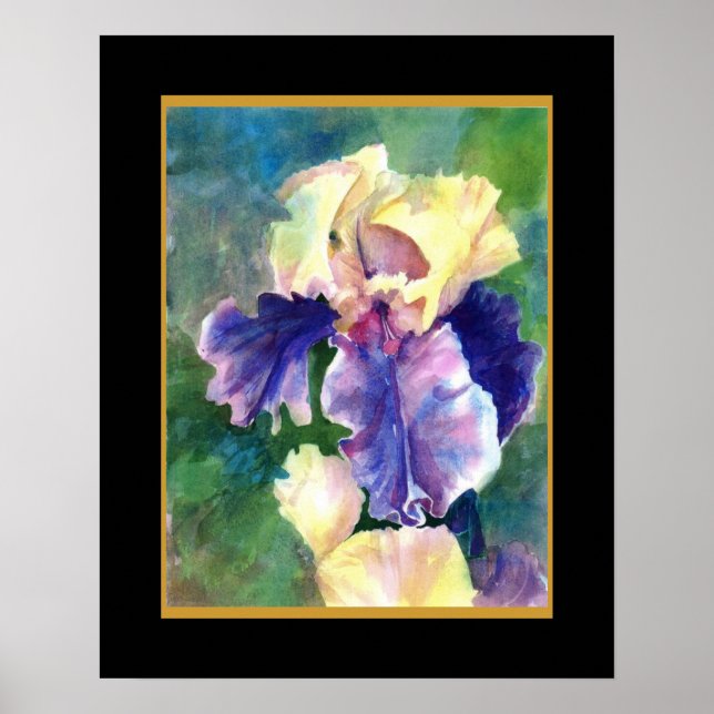 Giant Bearded Iris Poster (Framsidan)