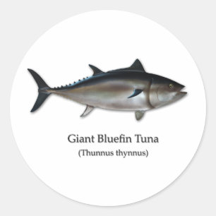 Giant Blue Tonuna Runt Klistermärke