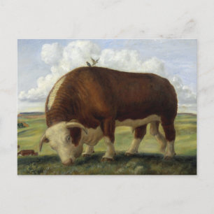 Giant Bull Vykort