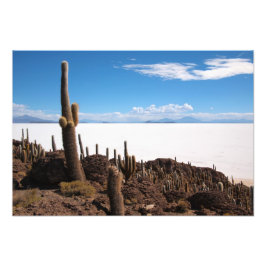 Giant cactus at Salar de Uyuni-fotot Fototryck