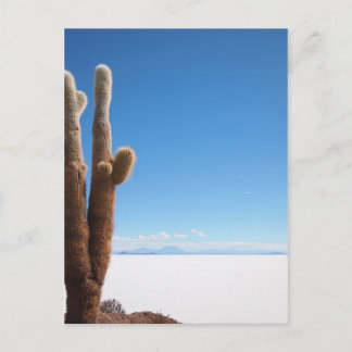 Giant cactus on Salar de Uyuni vycard Vykort