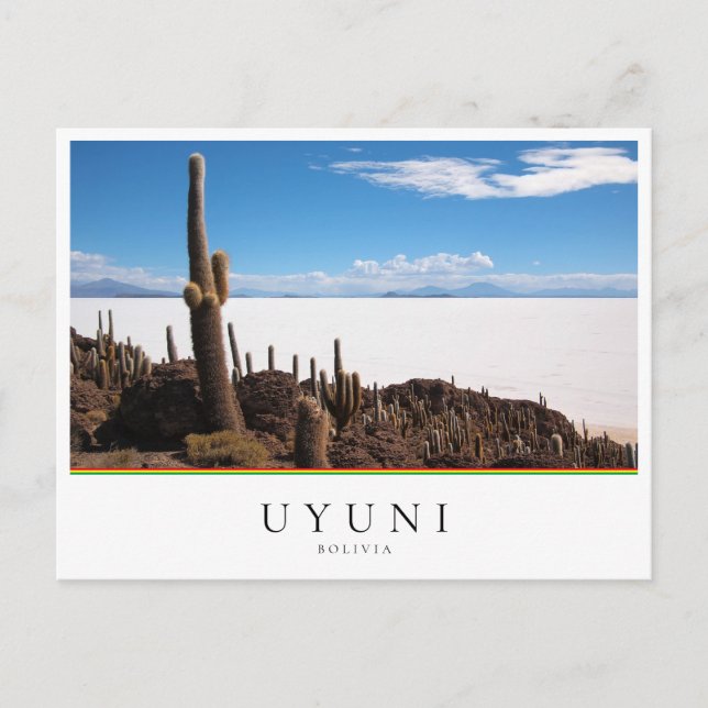Giant cactus vid Salar de Uyuni i Bolivia Vykort (Framsida)