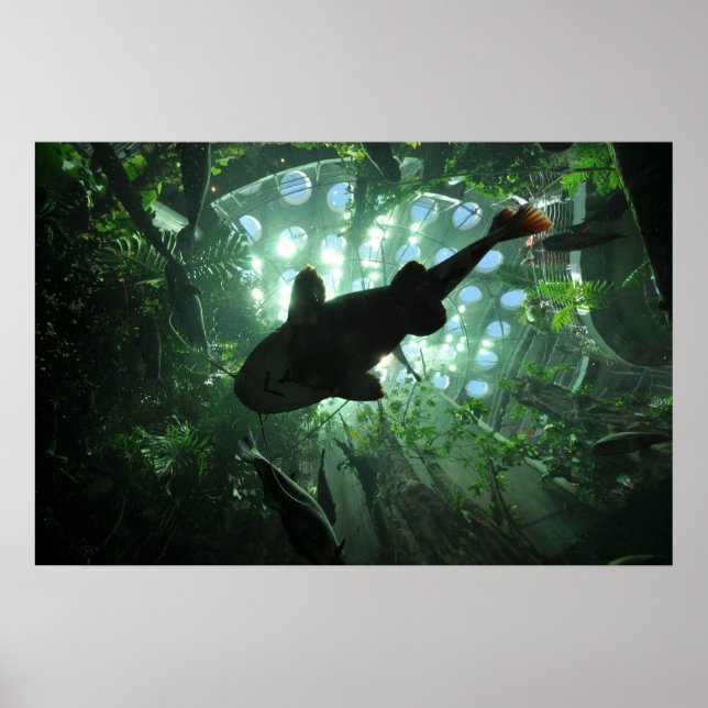 Giant Catfish Poster (Framsidan)